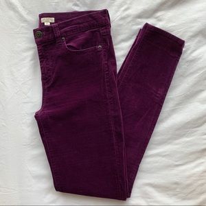 j. crew purple velvet pants